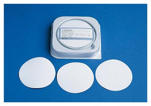 0990210 | Membrane Nyl .45um 47mm 100/pk