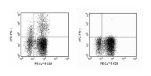 BDB554702 | Hu Ifn-gma Apc Mab 0.1mg B27