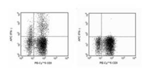 BDB554702 | Hu Ifn-gma Apc Mab 0.1mg B27