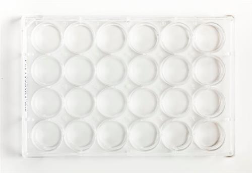 FB012929 | Fisherbrand Surface Treated SterileTissue Culture