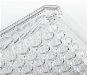 FB012931 | Fisherbrand Surface Treated SterileTissue Culture