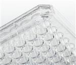 FB012931 | Fisherbrand Surface Treated SterileTissue Culture