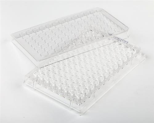 FB012932 | Fisherbrand Surface Treated SterileTissue Culture