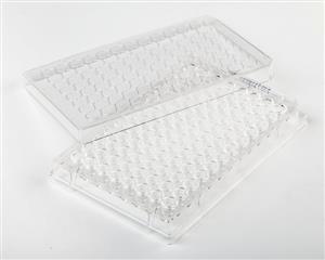FB012932 | Fisherbrand Surface Treated SterileTissue Culture
