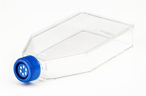FB012939 | Fisherbrand Surface Treated Sterile Tissue Culture