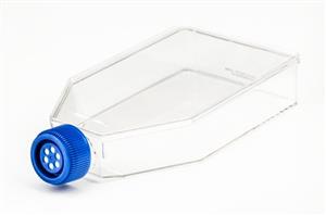 FB012939 | Fisherbrand Surface Treated Sterile Tissue Culture