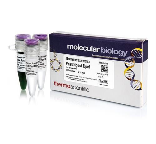 FERFD1703 | Thermo Scientific FastDigest DpnI 50 uL 50 Reactio