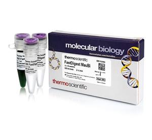 FERFD2084 | Thermo Scientific FastDigest MauBI Quantity 20 uL