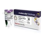 FERFD2084 | Thermo Scientific FastDigest MauBI Quantity 20 uL