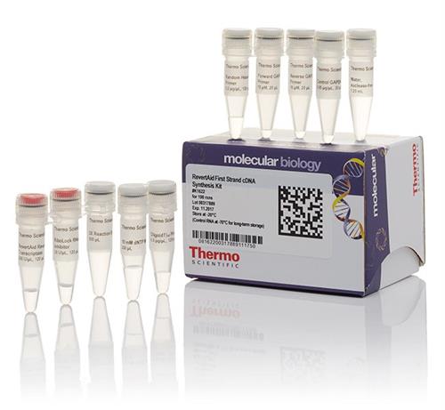 FERK1622 | Thermo Scientific RevertAid First Strand cDNA Synt