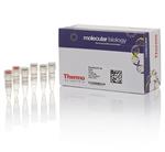 FERK1691 | Thermo Scientific RevertAid RT Reverse Transcripti