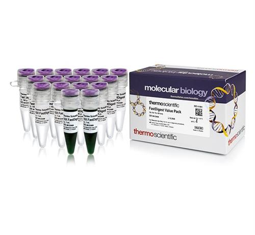 FERK1991 | Thermo Scientific FastDigest Value Pack Quantity 1