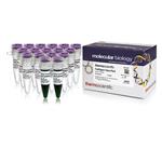 FERK1991 | Thermo Scientific FastDigest Value Pack Quantity 1