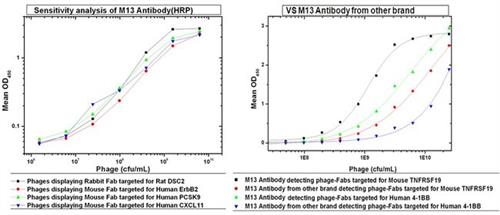 PIMA529950 | Ma529950 antibody
