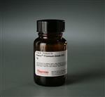 PIPG82079 | Thermo Scientific Pierce Premium Grade EDC 1 ethyl