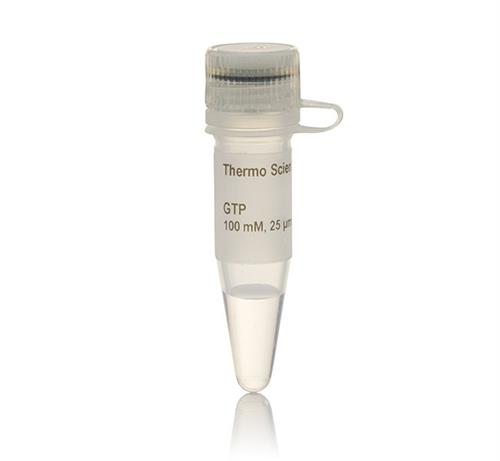 FERR0461 | Thermo Scientific GTP Solution 100 mM Quantity 0.2