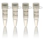 FERR0481 | Thermo Scientific NTP Set 100 mM Solution Quantity