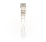 FERR1441 | Thermo Scientific ATP Solution Tris buffered For U