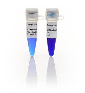 FERSM0103 | Thermo Scientific Lambda DNA HindIII Marker ready