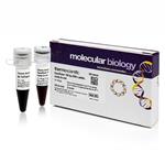 FERSM0243 | Thermo Scientific GeneRuler 100 bp DNA Ladder read