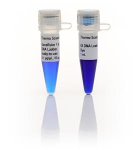 FERSM1334 | Thermo Scientific GeneRuler 1 kb Plus DNA Ladder r