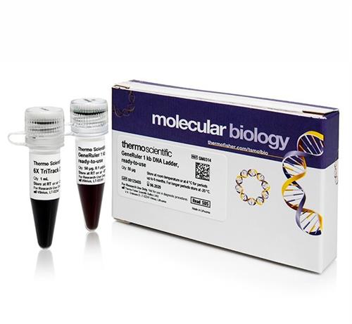 FERSM0314 | Thermo Scientific GeneRuler 1 kb DNA Ladder ready