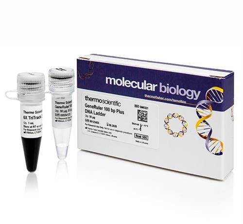 FERSM0321 | Thermo Scientific GeneRuler 100 bp Plus DNA Ladder