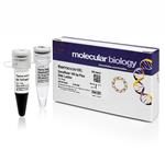 FERSM0321 | Thermo Scientific GeneRuler 100 bp Plus DNA Ladder