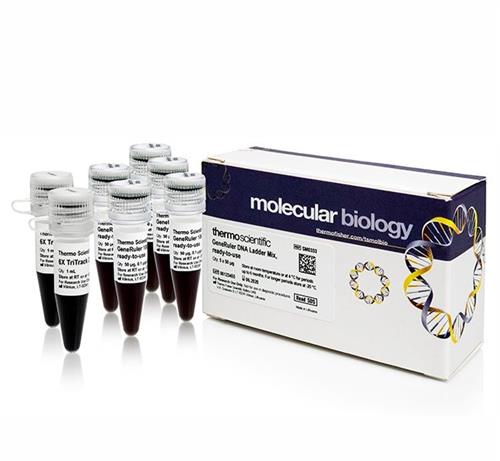 FERSM0333 | Thermo Scientific GeneRuler DNA Ladder Mix ready t