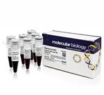 FERSM0333 | Thermo Scientific GeneRuler DNA Ladder Mix ready t