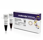 FERSM0334 | Thermo Scientific GeneRuler DNA Ladder Mix ready t