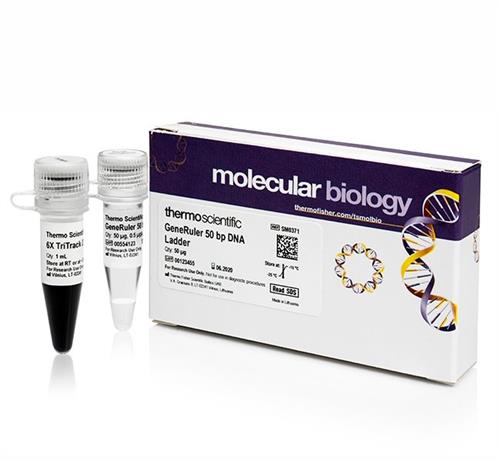 FERSM0371 | Thermo Scientific GeneRuler 50 bp DNA Ladder Quant