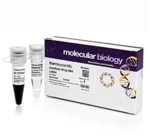 FERSM0371 | Thermo Scientific GeneRuler 50 bp DNA Ladder Quant