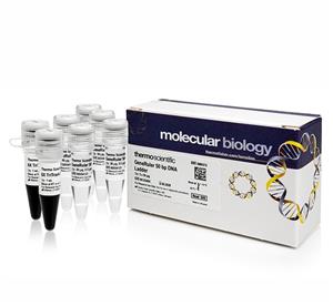 FERSM0372 | Thermo Scientific GeneRuler 50 bp DNA Ladder Quant