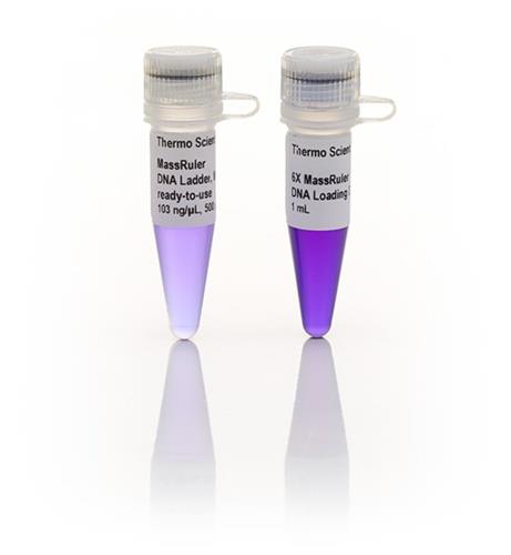 FERSM0393 | Thermo Scientific MassRuler High Range DNA Ladder