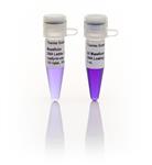 FERSM0393 | Thermo Scientific MassRuler High Range DNA Ladder