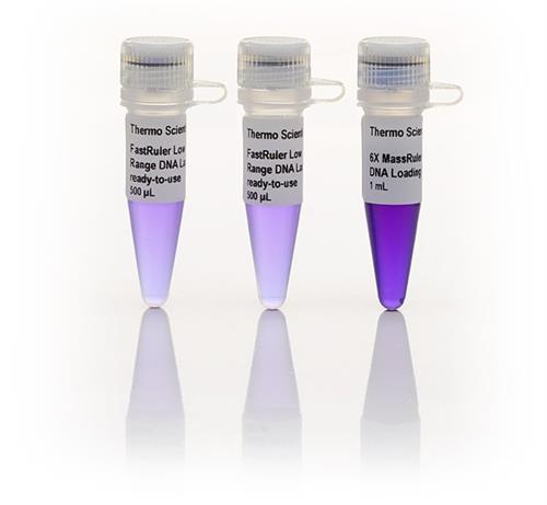 FERSM1103 | Thermo Scientific FastRuler Low Range DNA Ladder r