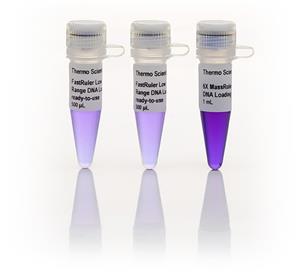 FERSM1103 | Thermo Scientific FastRuler Low Range DNA Ladder r