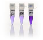 FERSM1103 | Thermo Scientific FastRuler Low Range DNA Ladder r