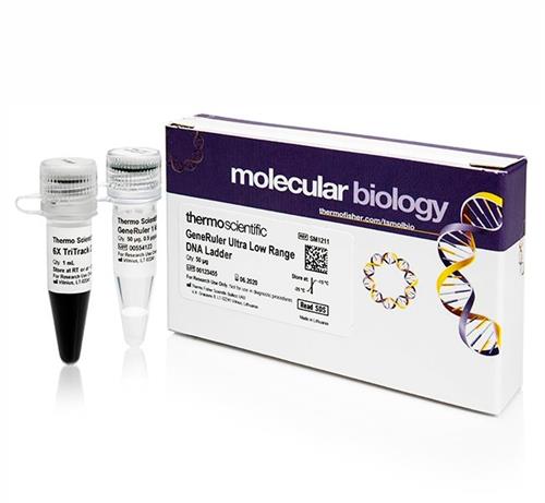 FERSM1211 | Thermo Scientific GeneRuler Ultra Low Range DNA La