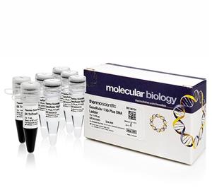 FERSM1331 | Thermo Scientific GeneRuler 1 kb Plus DNA Ladder K
