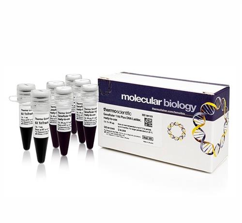 FERSM1333 | Thermo Scientific GeneRuler 1 kb Plus DNA Ladder r