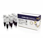 FERSM1333 | Thermo Scientific GeneRuler 1 kb Plus DNA Ladder r
