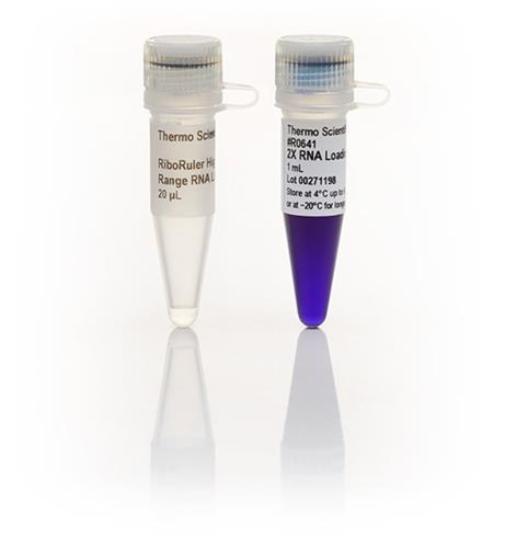 FERSM1821 | Thermo Scientific RiboRuler High Range RNA Ladder