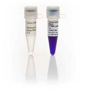 FERSM1821 | Thermo Scientific RiboRuler High Range RNA Ladder