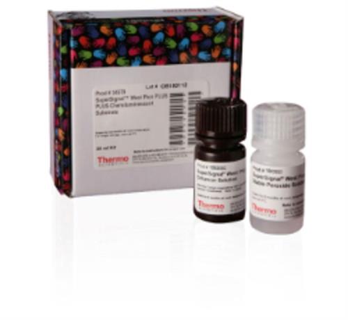 PI34580 | Thermo Scientific SuperSignal West Pico PLUS Chemi