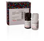 PI34580 | Thermo Scientific SuperSignal West Pico PLUS Chemi