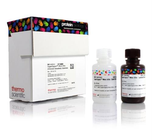 PIA38554 | Thermo Scientific SuperSignal West Atto Ultimate S