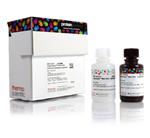 PIA38554 | Thermo Scientific SuperSignal West Atto Ultimate S