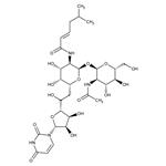 351610 | Tunicamycin 10 Mg